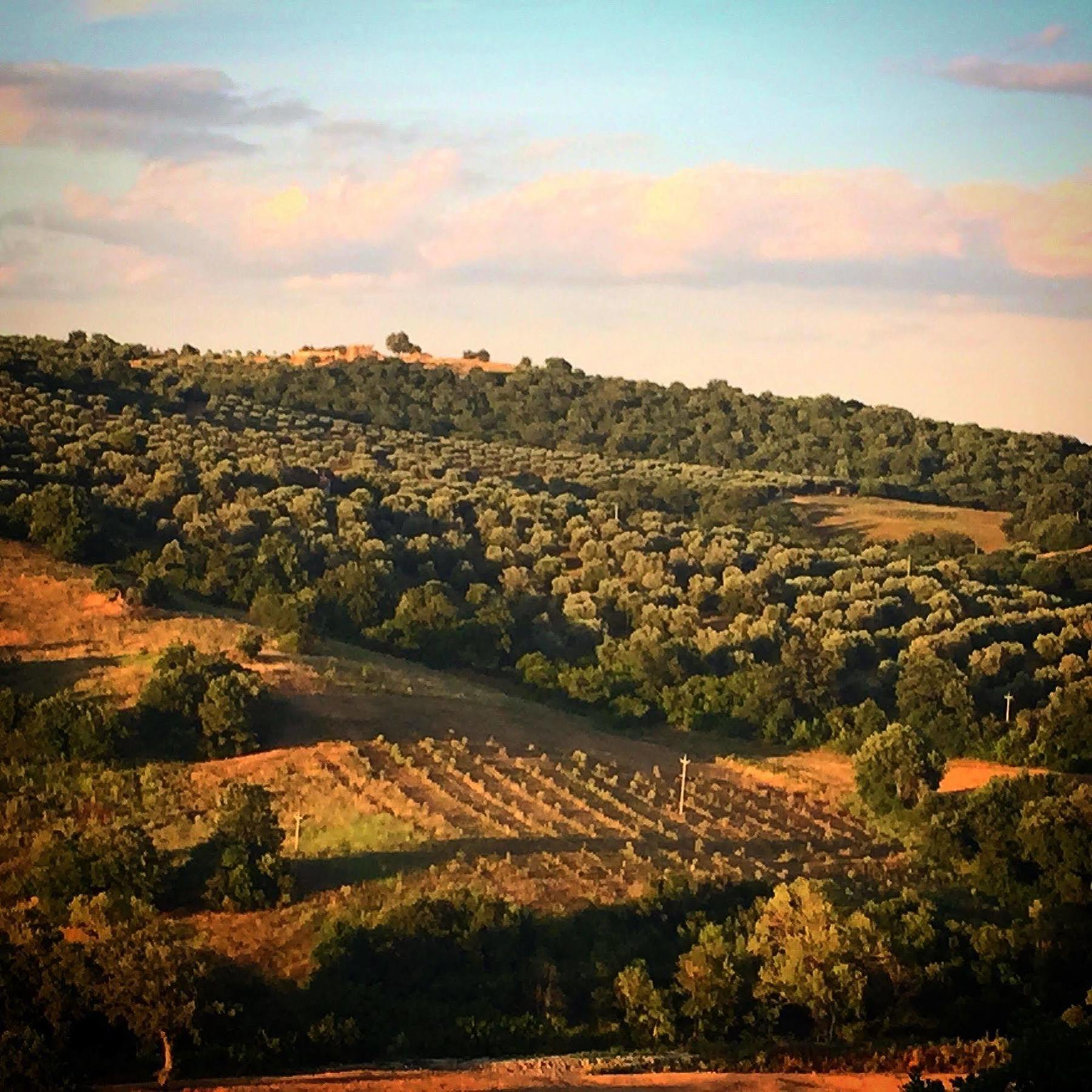 Le Tartarughe Rooms Magliano in Toscana Exterior foto